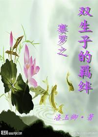 赛罗之双生子的羁绊
