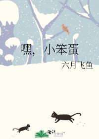 嘿,小笨蛋
