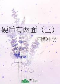 硬币有两面(三)