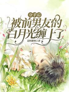 分手后,被前男友的白月光缠上了