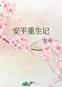 安平重生记