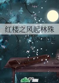红楼之林家有子 青梅如豆