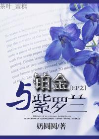 HP之铂金诱惑