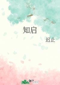 知启