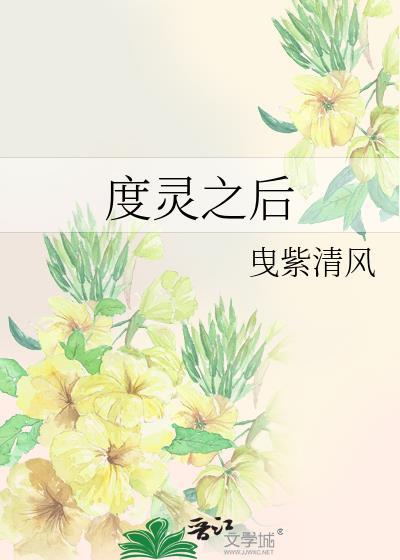 度灵之后