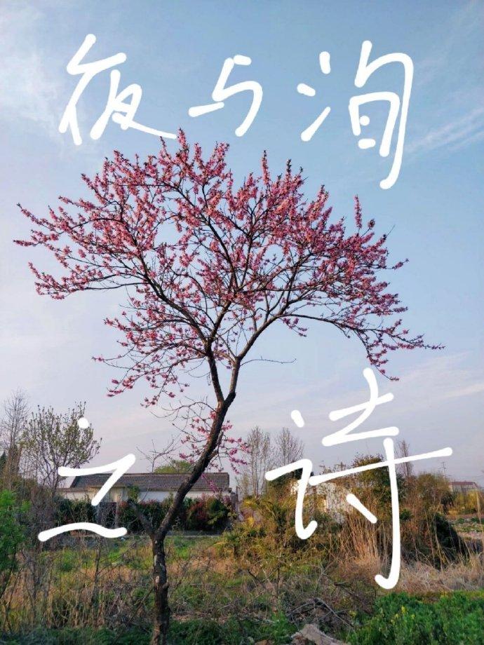 夜与洵之诗