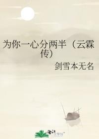 为你一心分两半(云霖传)