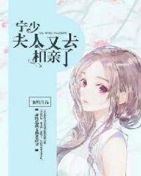 宁少,夫人又去相亲了
