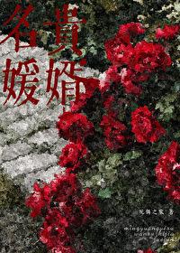 名媛贵婿【先婚后爱】