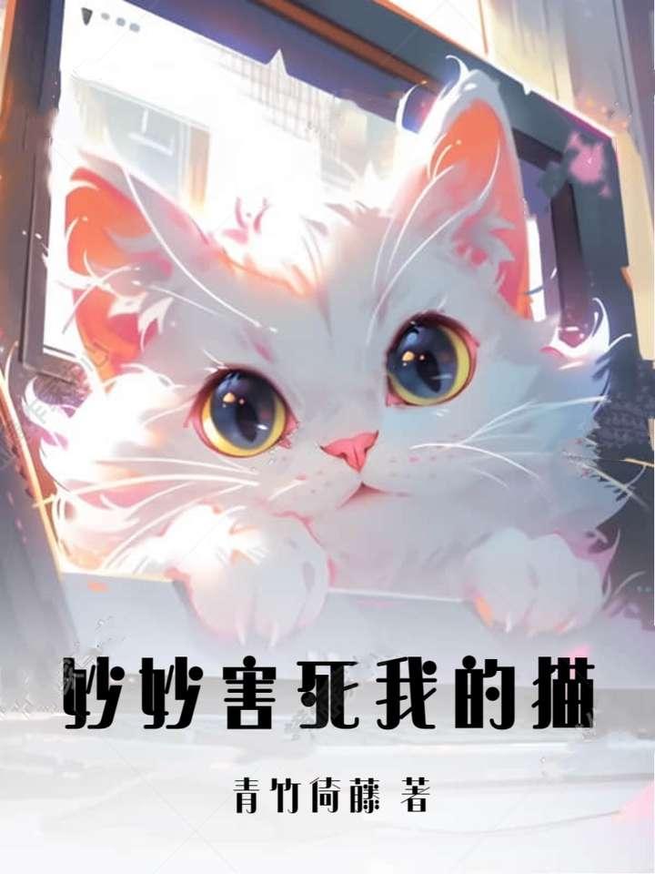 妙妙害死我的猫