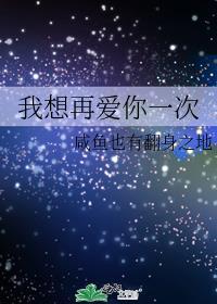 我想再爱你一次