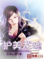 护美龙魂"，"copyright":"纵横