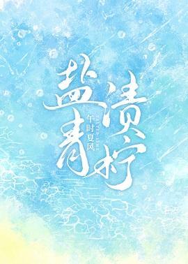 盐渍青柠