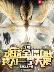 斗罗:魂技全增幅,我为一拳天使