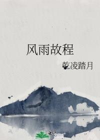 风雨故程