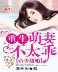 帝少甜婚:重生萌妻不太乖