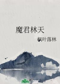 魔君林天