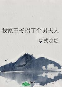 我家王爷拐了个男夫人
