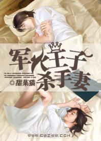 军火王子杀手妻