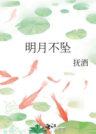 明月不坠