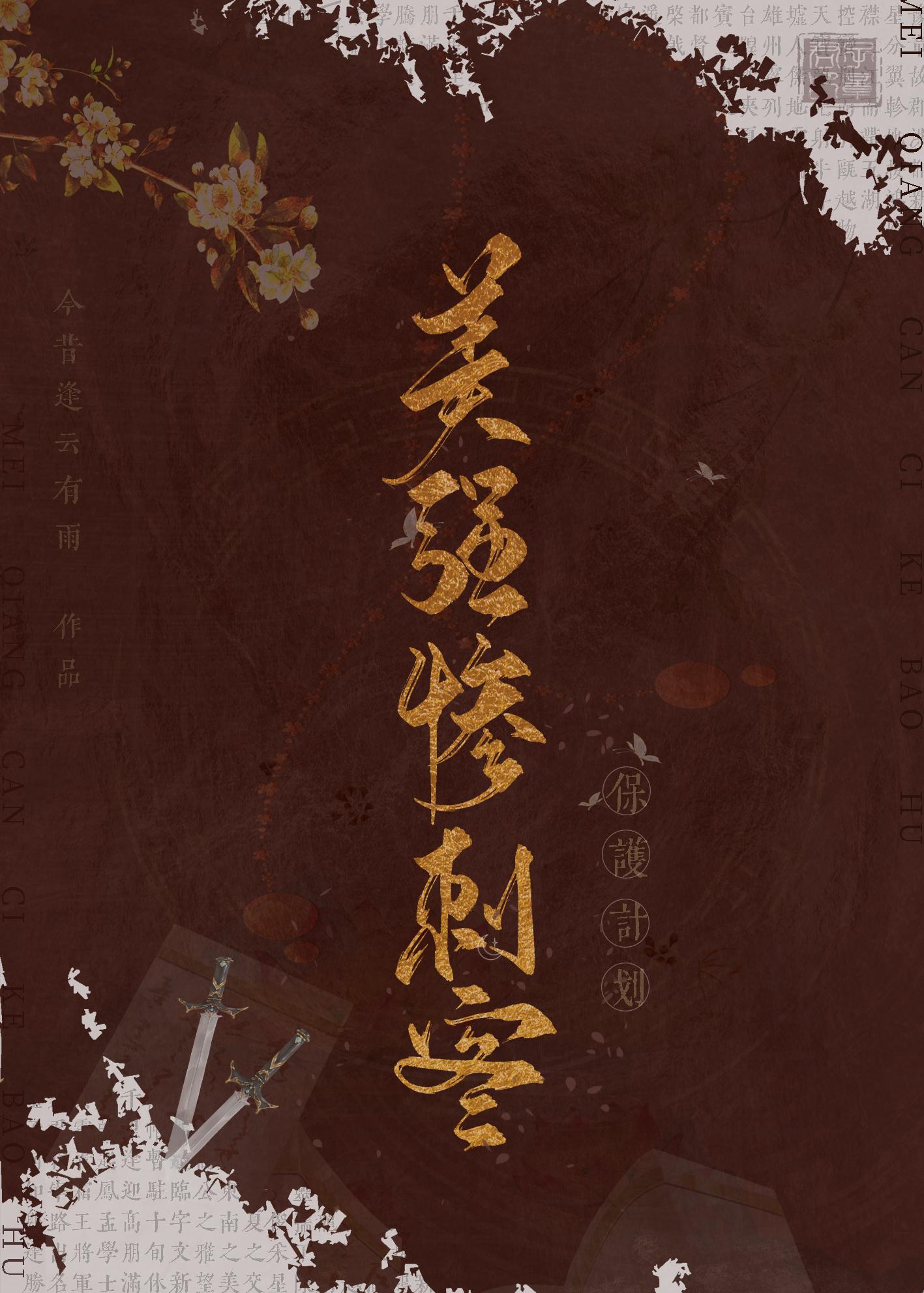 美强惨刺客保护计划