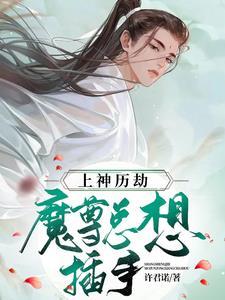 上神历劫,魔尊总想插手