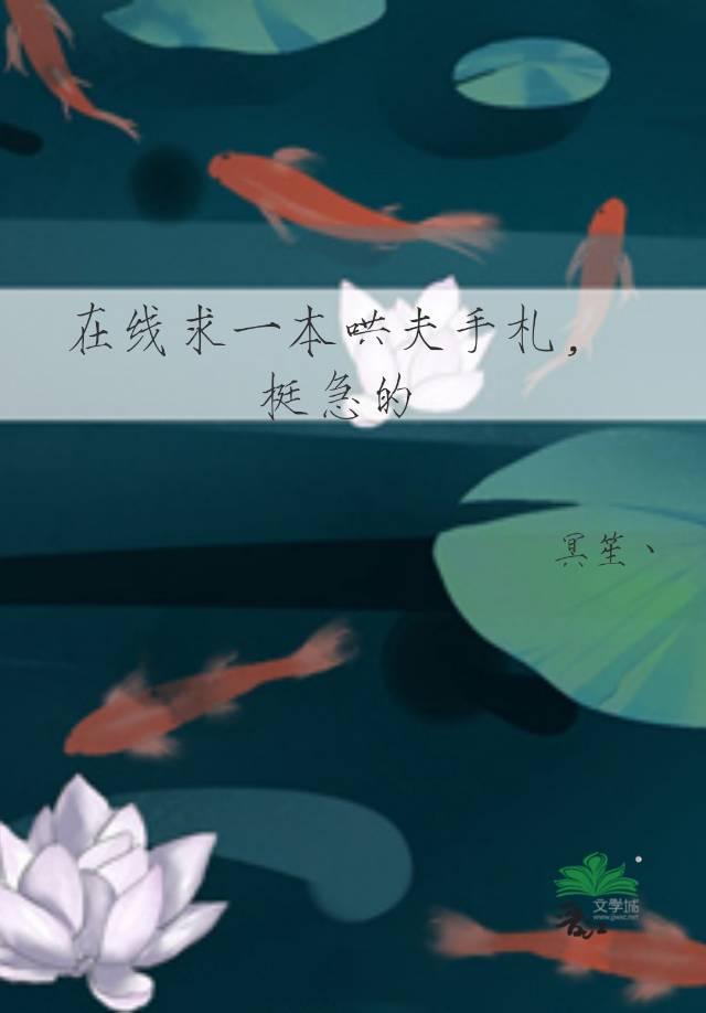 在线求一本哄夫手札,挺急的