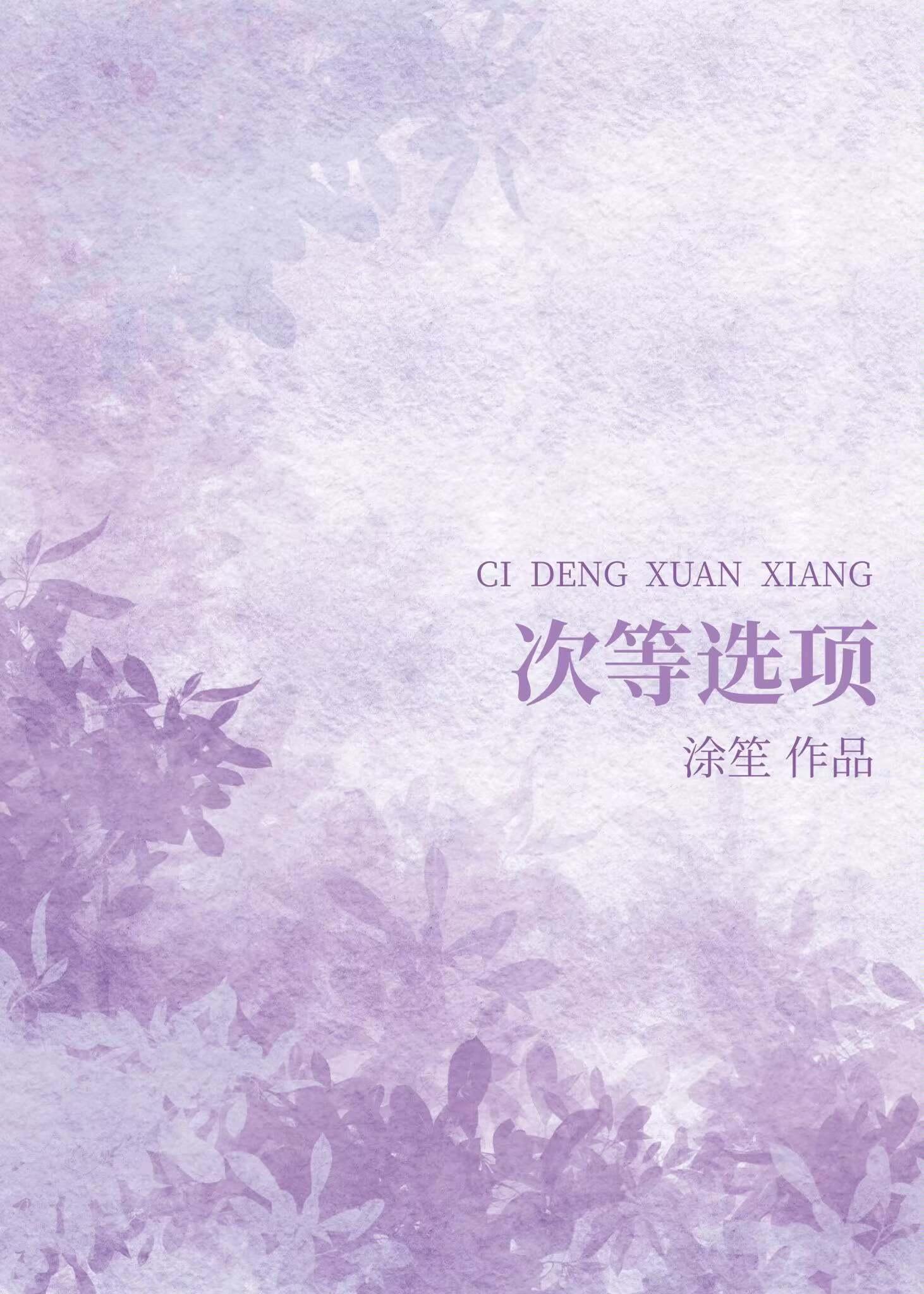 次等选项