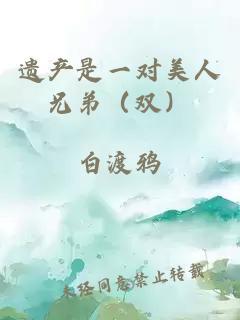 遗产是一对美人兄弟(双)