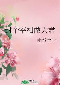 封个宰相做夫君