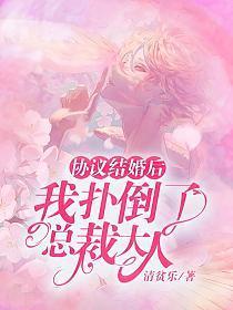 协议结婚后，我扑倒了总裁大人