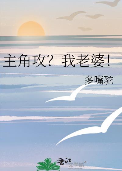 主角攻？我老婆！