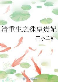 清重生之殊皇贵妃