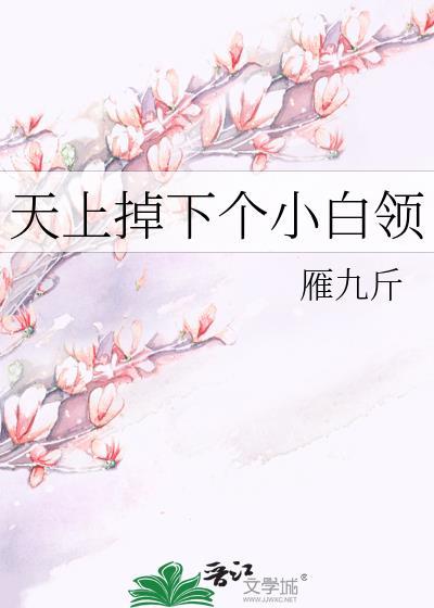 天上掉下个小白领