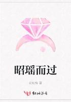 昭瑶而过
