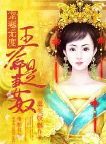 宠妻无度一王爷是妻奴