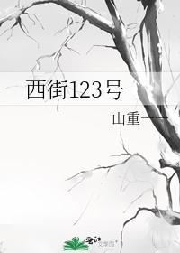 西街123号