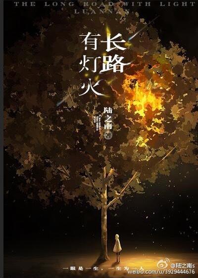 长路有灯火