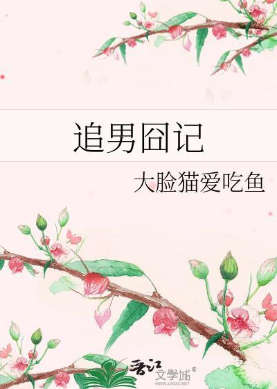 追男囧记