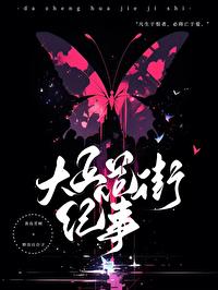 蝶之毒华之锁·花街纪事