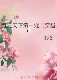 皇兄天下第一宠(穿越)