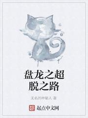 盘龙之超脱之路