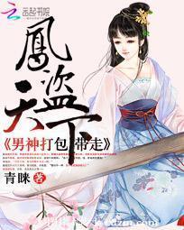 凤盗天下:男神打包带走