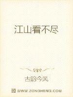 江山看不尽