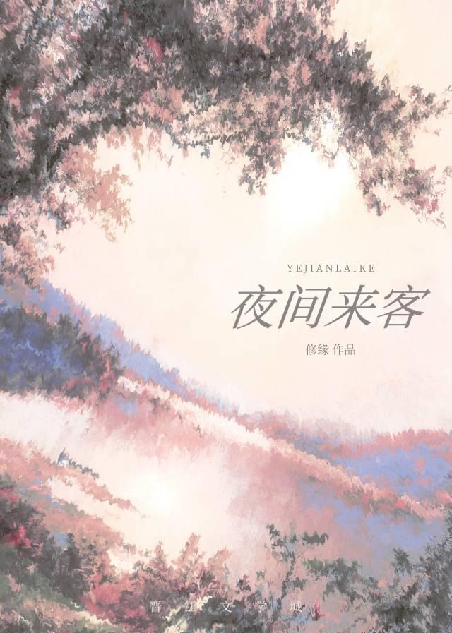 夜间来客