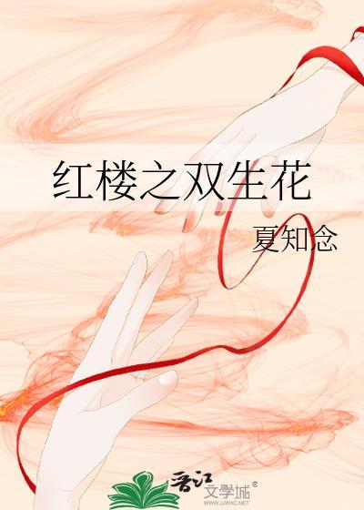 红楼之双生花