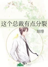 这个总裁有点分裂