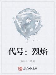 代号:烈焰
