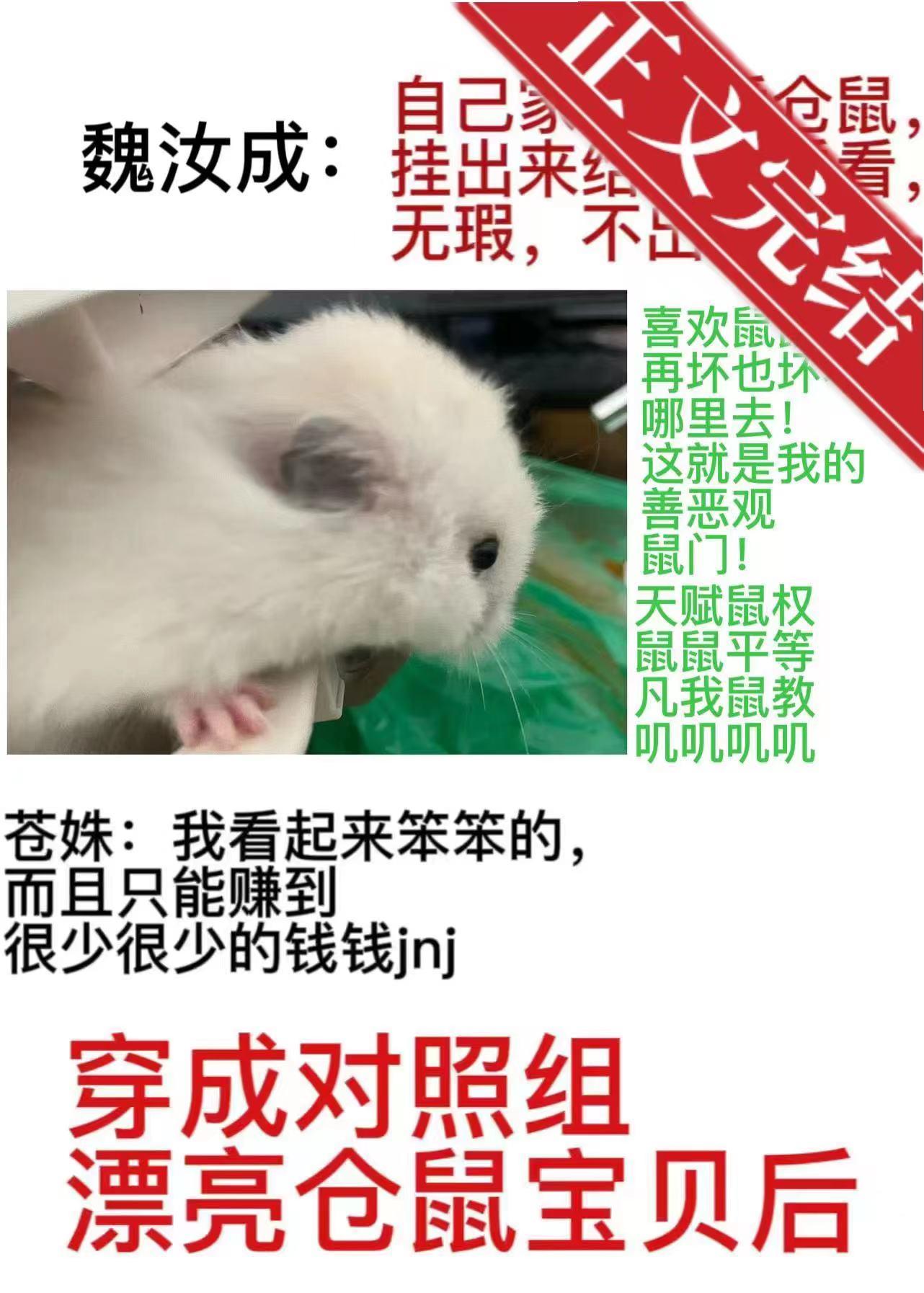 穿成对照组漂亮仓鼠宝贝后