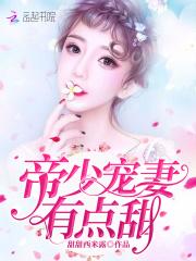 帝少宠妻有点甜贺宁沈璟煜
